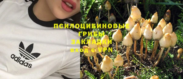 синтетический гашиш Верхний Тагил